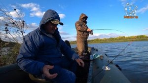 Чехонь с лодки на Волге! Отличный клёв на герлянду в отвес!!!!