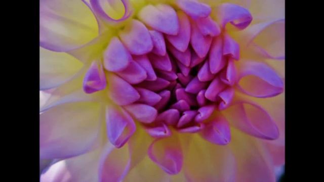 LAGO MAGGIORE FIORI E GIARDINI sett. 2013 - 1a parte - video смотреть онлайн