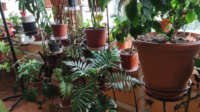 9 октября 2022 г. смотреть онлайн