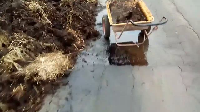 Нам привезли навоз! смотреть онлайн