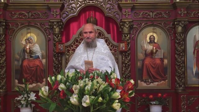 Проповедь прот. Влдаимира на праздник Собора Архистратига Михаила и прочих Небесных Сил бесплотных смотреть онлайн
