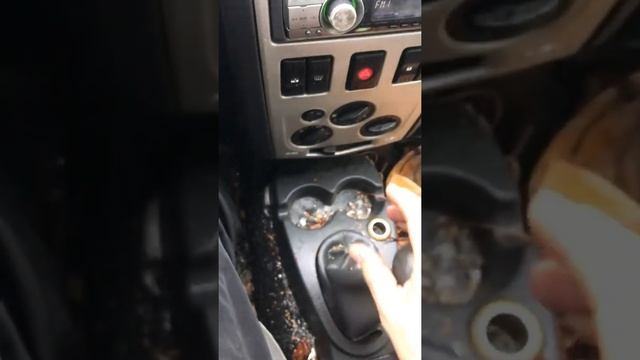 Логан перевертыш мчит как новый ?⛽️проверка кпп смотреть онлайн