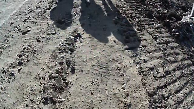 Ферма зоопарк в Колтушах телега кони карьеры смотреть онлайн