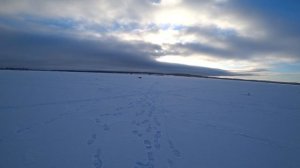 Как я за судаком ходил. Рыбалка на Аргазях