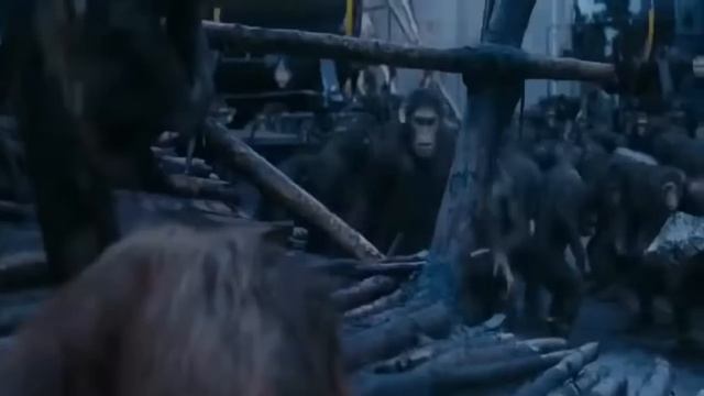 Latest English Movie Full HD War for the planet of Apes 2022 Full Movie смотреть онлайн