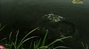 Братья Щербаковы Воблеры, часть 1