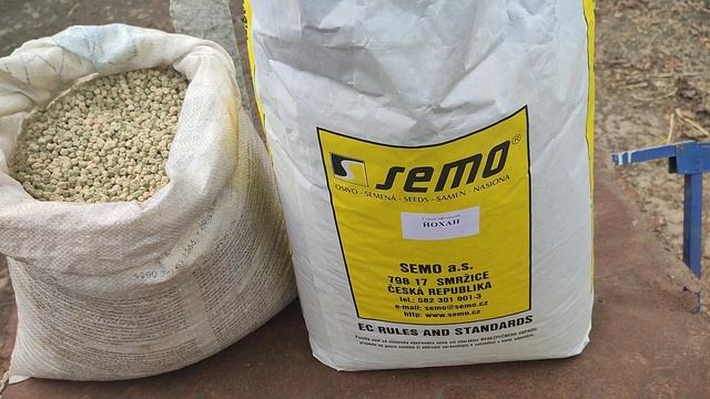 Овощной горох Йохан & Оскар. Супер сорта для открытого грунта смотреть онлайн