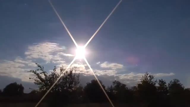 «На чистом поле тонкого листа…». Литературная гостиная, посвященная жизни и творчеству Ю. Магалифа смотреть онлайн