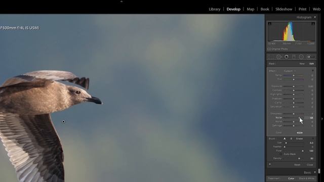 Reduce Noise in Adobe Lightroom смотреть онлайн