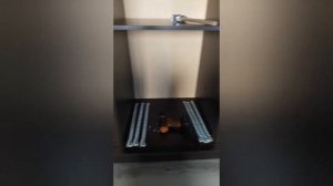 Шкаф-купе Маэстро