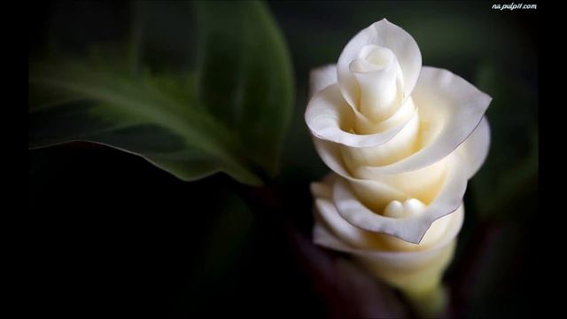 nie jestes sama cover by Agata Milińska смотреть онлайн