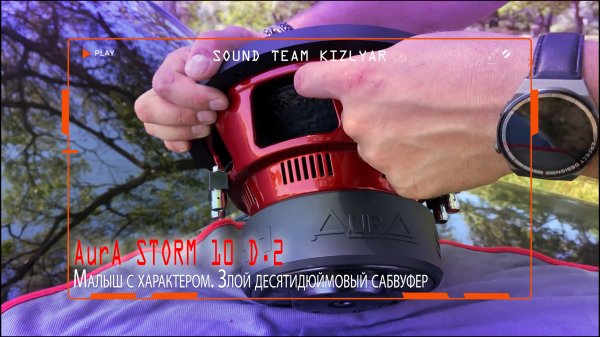 Малыш с характером. Злой десятидюймовый сабвуфер AurA STORM 10 D.2