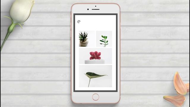 Instagram Stories Templates For Photoshop смотреть онлайн
