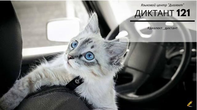 Диктант на итальянском. Dettato: Compagni di viaggio (CalInPr25) смотреть онлайн