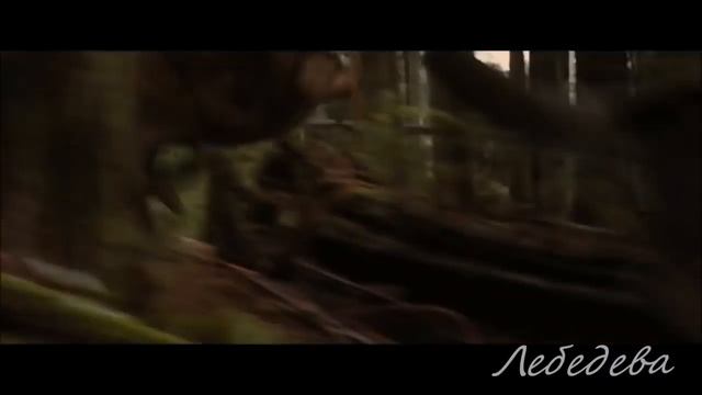 одиночество волк смотреть онлайн