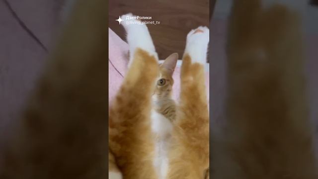 да мне и так удобно ??