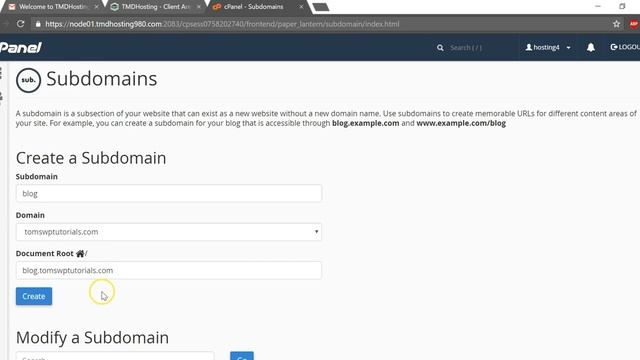 How to Add a Sub Domain on TMDHosting: Install WordPress смотреть онлайн