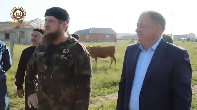 СТРОИТЕЛЬСТВО И СФЕРА УСЛУГ МАГОМЕТАНЦЕВ В ЧЕЧЕНСКОЙ РЕСПУБЛИКЕ смотреть онлайн