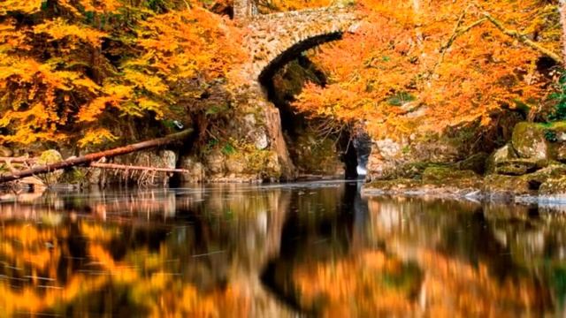 Николай Гумилев - Литературный портрет смотреть онлайн