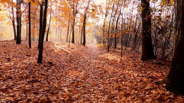 Опять сентябрь. Белла Ахмадулина. Слушаем стихи смотреть онлайн