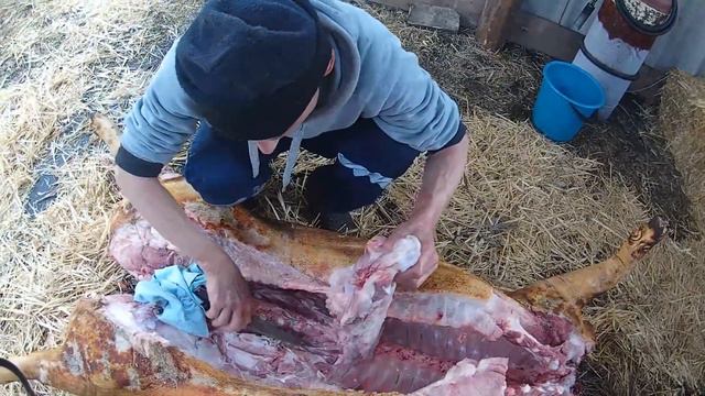 Розробка свинячої туші смотреть онлайн