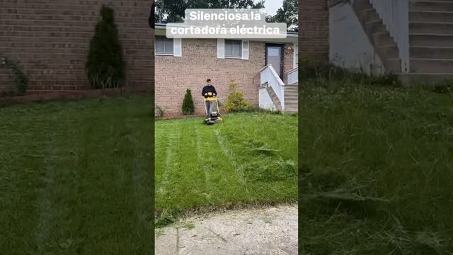 Dewalt cortadora eléctrica #parati #viral #shortsviral #viralvideos #davidargueta смотреть онлайн