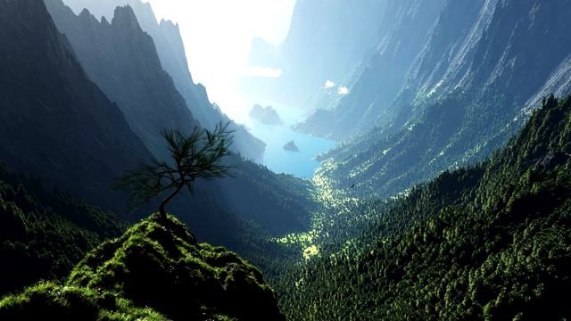 Re:plus - Solitude (Homework Edit) смотреть онлайн