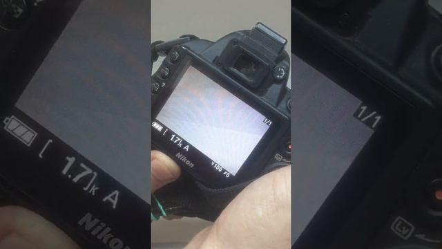 Обзор на Nikon D3100 смотреть онлайн