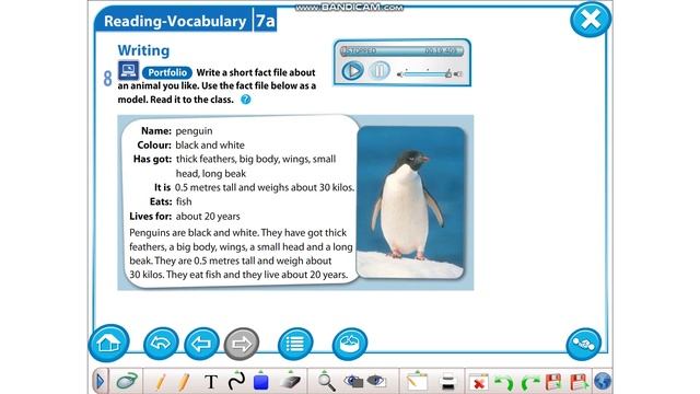 Animal fact file Ex 8, p 87 Excel 5 st book смотреть онлайн