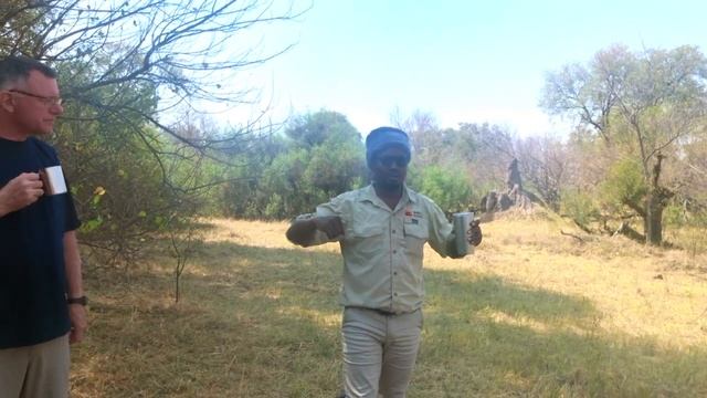 Animal Stories from an African Safari Guide in Botswana - Staring Down a Black Mamba Snake & Lion смотреть онлайн