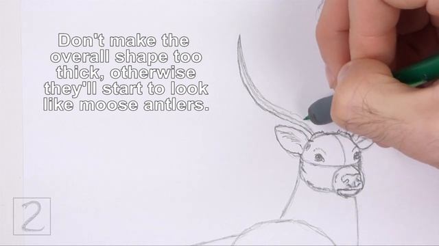 How to Draw a Deer (Color) смотреть онлайн