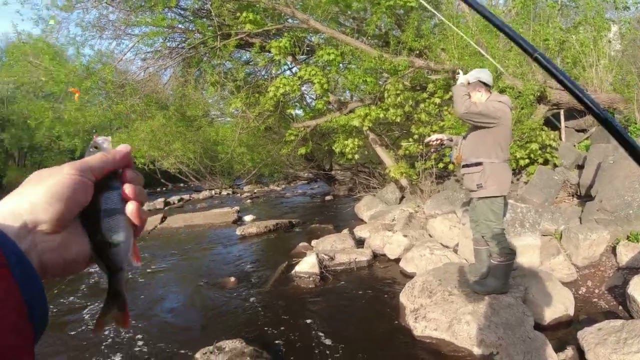 #429 #мормышинг #евронимфинг | Рыбалка в стиле Евронимфинга | смотреть онлайн