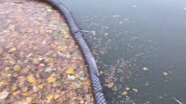 Отчистка листвы , жировой плёнки и мусора с поверхности водоёма РК Фишка Липки смотреть онлайн