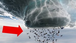 Этот Феномен Произошел Лишь Раз в Истории