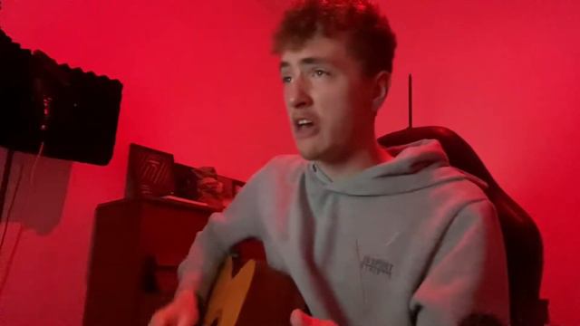 YUNGBLUD - Fleabag (cover By Busky)
