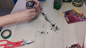 26. Посев СВЕКЛЫ на рассаду. В самокрутку. Удобный способ.