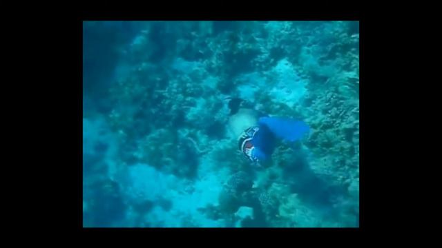 Лынник Александр Фридайв Красное море смотреть онлайн