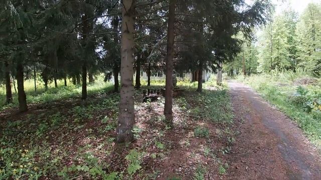 Оздоровительный лагерь "Орленок" смотреть онлайн