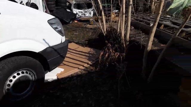 Замена моторного масла Mercedes Sprinter W906 Om646