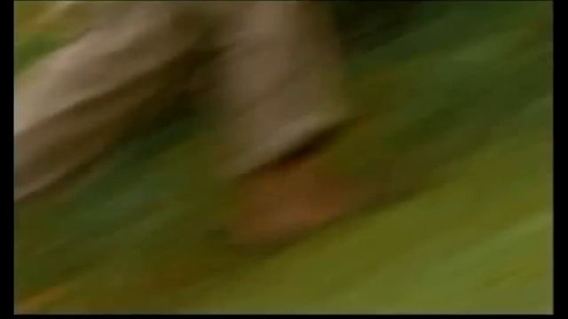 Carlos Vives La Tierra Del Olvido  Con Letra [Video Oficial HD]