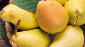 Груша польза и вред для здоровья. Что будет если есть груши каждый день