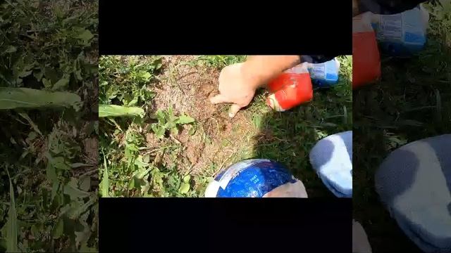 9 MM Vor-tx Hollow Point Review смотреть онлайн