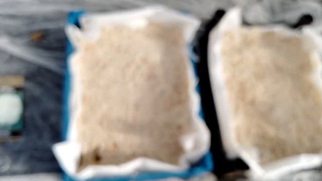Сею раннюю и цветную капусту смотреть онлайн
