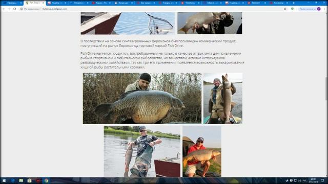 активаторы клева голодная рыба