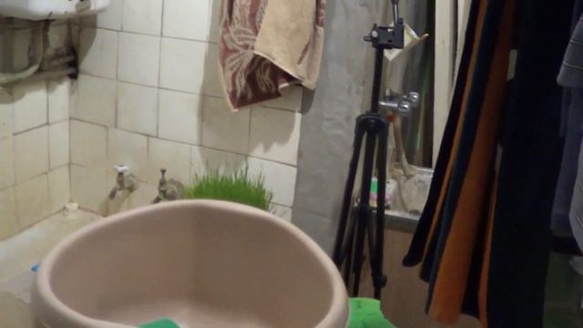 Охота на тараканов Поставил вторую ловушку смотреть онлайн