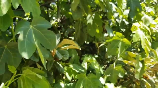 ЖАРА в Провансе/Сил БОЛЬШЕ НЕТ.../КАК остаться в живых.../Новая маска для лица смотреть онлайн