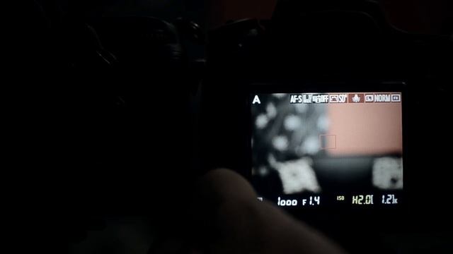 Nikon D600 Review - Liveview Probleme, Video Und Mehr | Gwegner.de