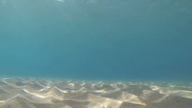 Sicily Snorkeling Day 1: Giardini Naxos смотреть онлайн