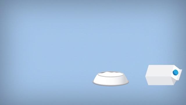 Мифы о питании и поведении кошек – Hill's