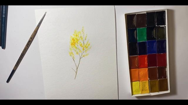 Акварель для начинающих. Как нарисовать веточку желтой Мимозы смотреть онлайн